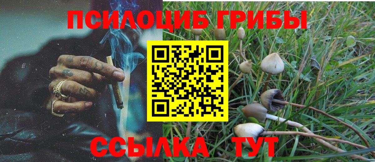 Сергиев Посад  продажа наркотиков  Вход с VPN  Галлюциногенные грибы Cubensis  Псилоцибиновые грибы мухоморы 